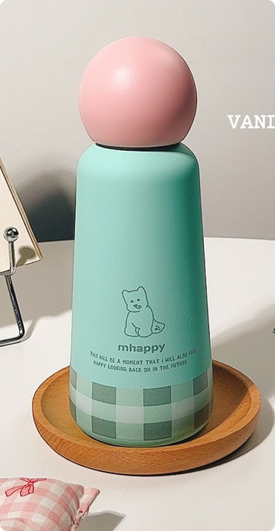 Thermal bottle